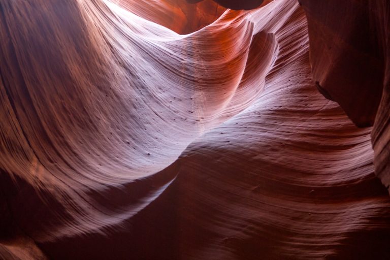 Unleashing the Wild: Embracing Adventure in Outdoor Travel